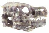 Carved Amethyst Dinosaur Crystal Skull - Ferocious! #227045-6